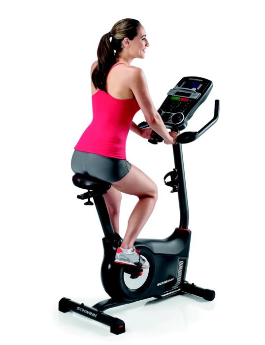 Schwinn 170 Upright Bike