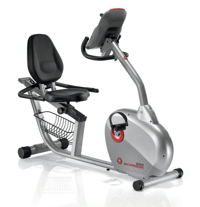 Schwinn 250 Recumbent Exercise Bike