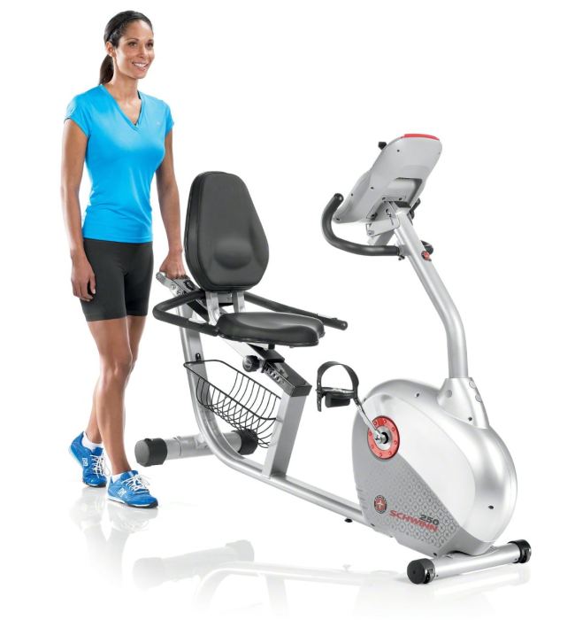 Schwinn 250 Recumbent Exercise Bike