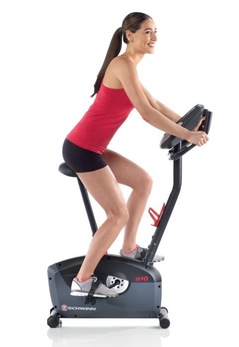 Schwinn A10 Upright Bike