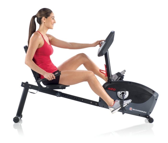 Schwinn A20 Recumbent Bike