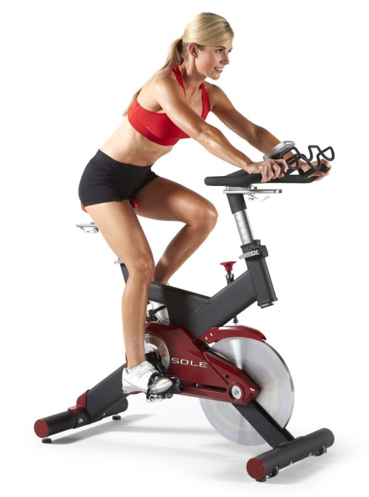Sole Fitness SB700 Exercise Bike