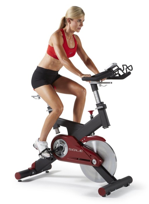 Sole Fitness SB700 Indoor Exercise Bike Review