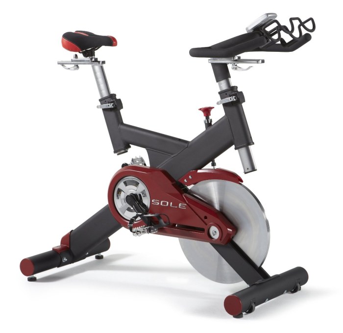 Sole Fitness SB700 Exercise Bike