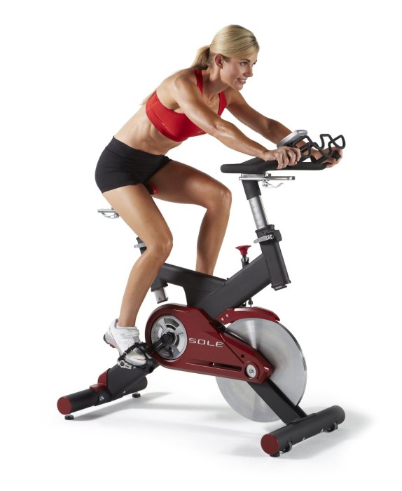 Sole Fitness SB700 Indoor Exercise Bike