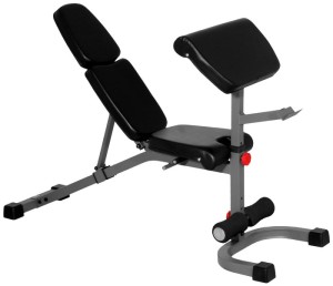 XMark XM-4417 FID Weights Bench