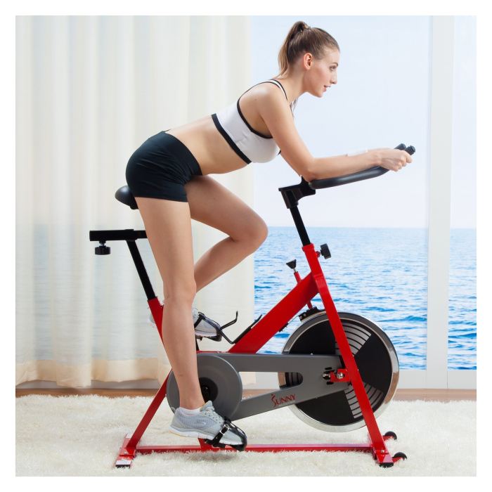 Sunny SF-B1001 Indoor Cycling Bike