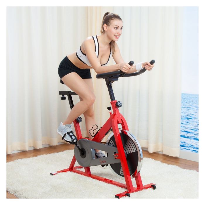 Sunny SF-B1001 Indoor Cycling Bike Review