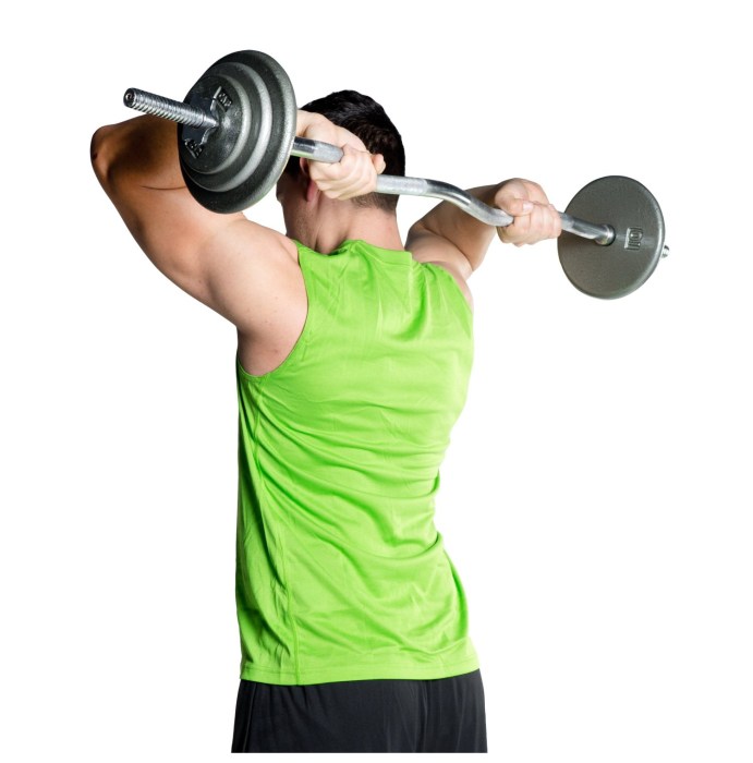 CAP Barbell EZ Curl Bar Standard 1 Inch