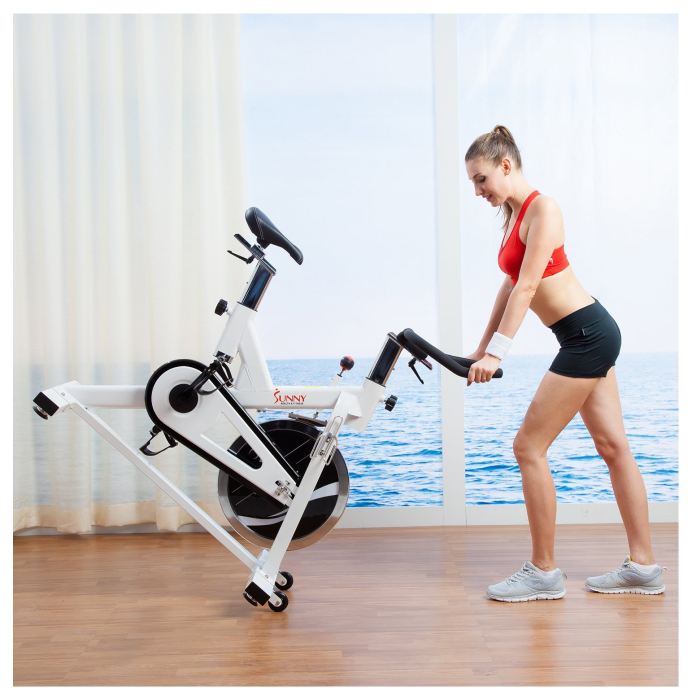 Sunny SF-B1110 Indoor Cycling Bike