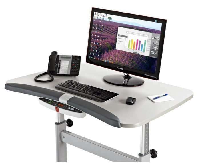 LifeSpan Fitness TR800-DT5 Treadmill Desk