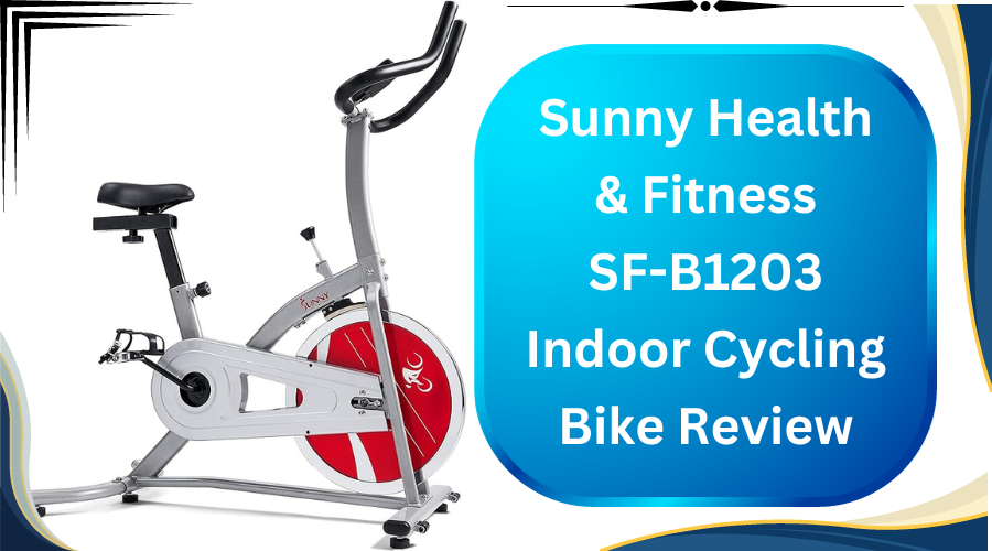 Sunny Health Fitness SF-B1203 Indoor Cycling Bike
