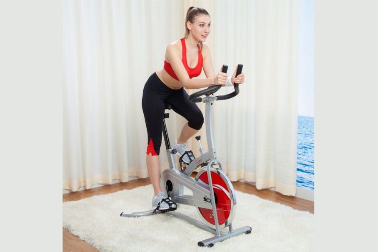 Sunny SF-B1203 Indoor Cycling Bike