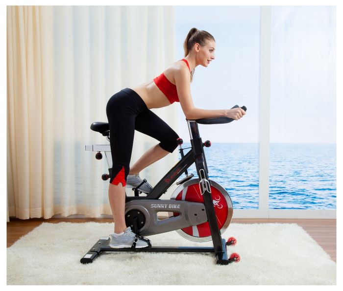 Sunny SF-B1002 Belt Drive Indoor Cycling Bike