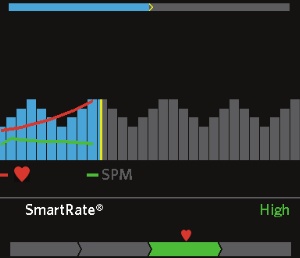 SmartRate tracks your heart rate as a percentage of your maximum, the displays it in a category