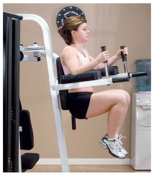 VKR30 Knee raise and dip attachment