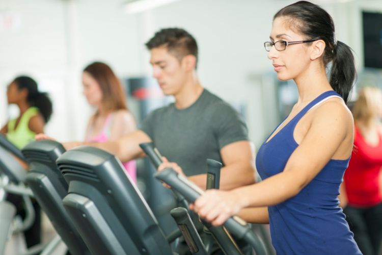 Schwinn vs. Nautilus Elliptical Trainers