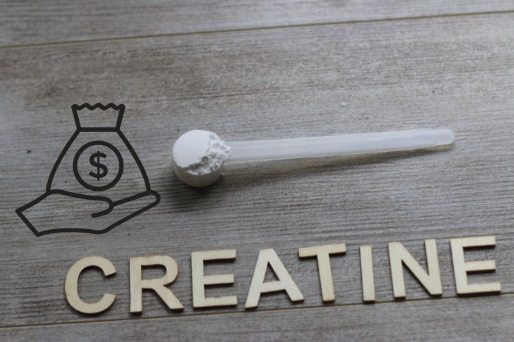Best Creatine on a Budget