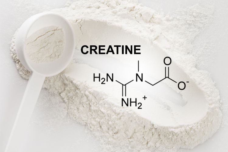 How Much Creatine Should I Take?