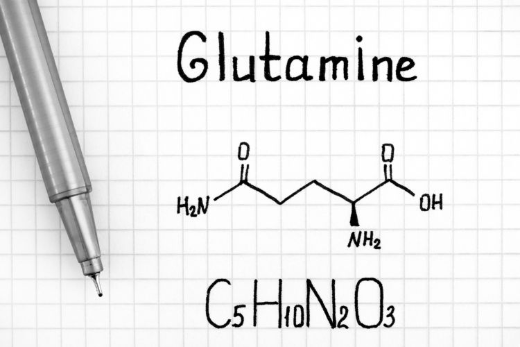 What is Glutamine?