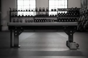 Monster Utility Bench 2.0