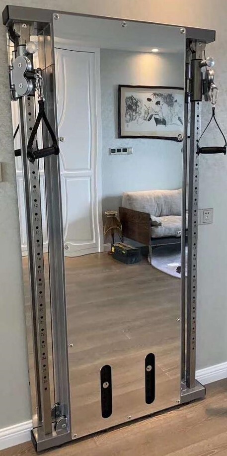 View of the French Fitness Wall Mounted Mirror Functional Trainer