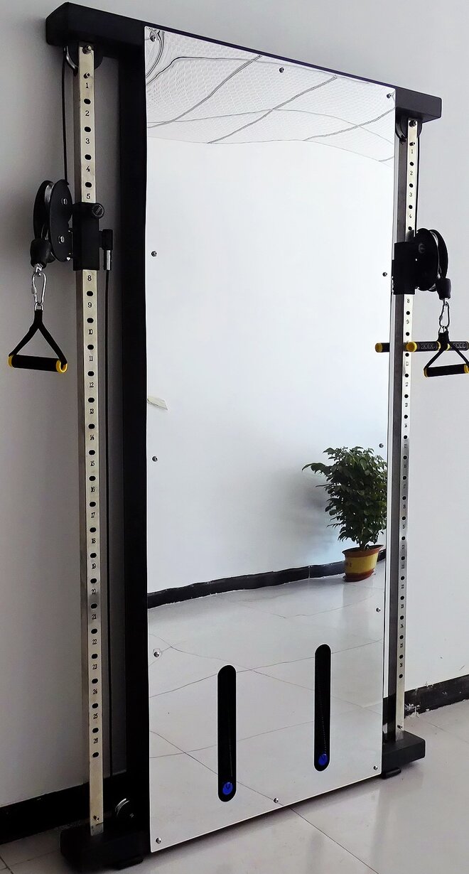 French Fitness Wall Mounted Mirror Functional Trainer Review