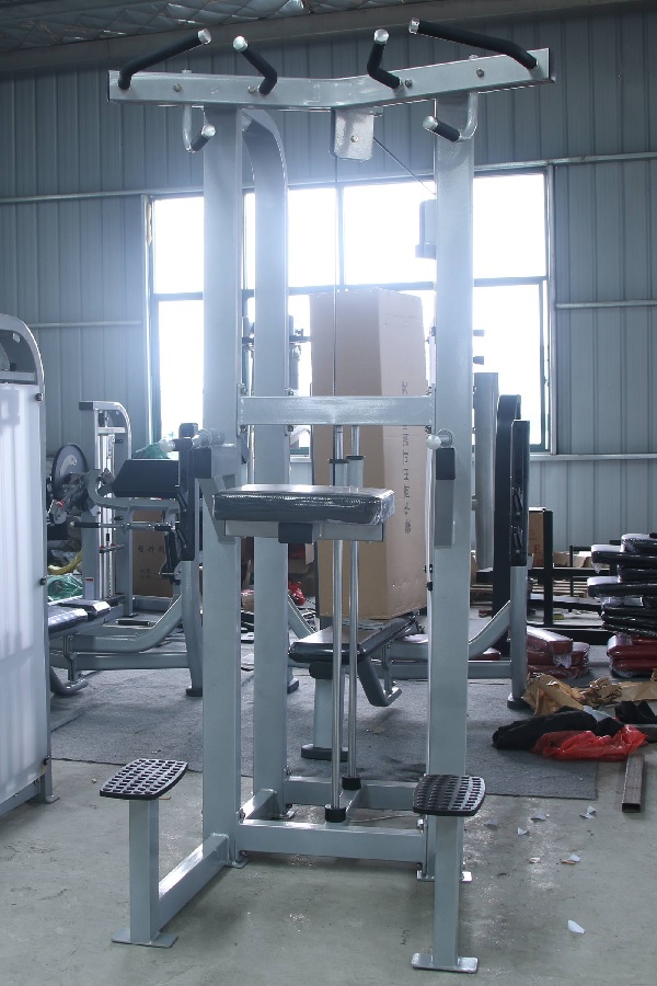 Chin Dip Machine and chin up grips