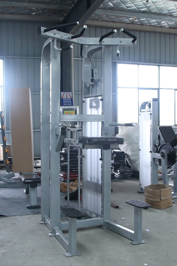 Side profile of French Fitness Shasta Assisted Chin Dip Machine