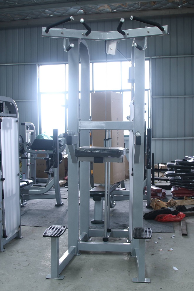 Assisted chin dip machine French Fitness