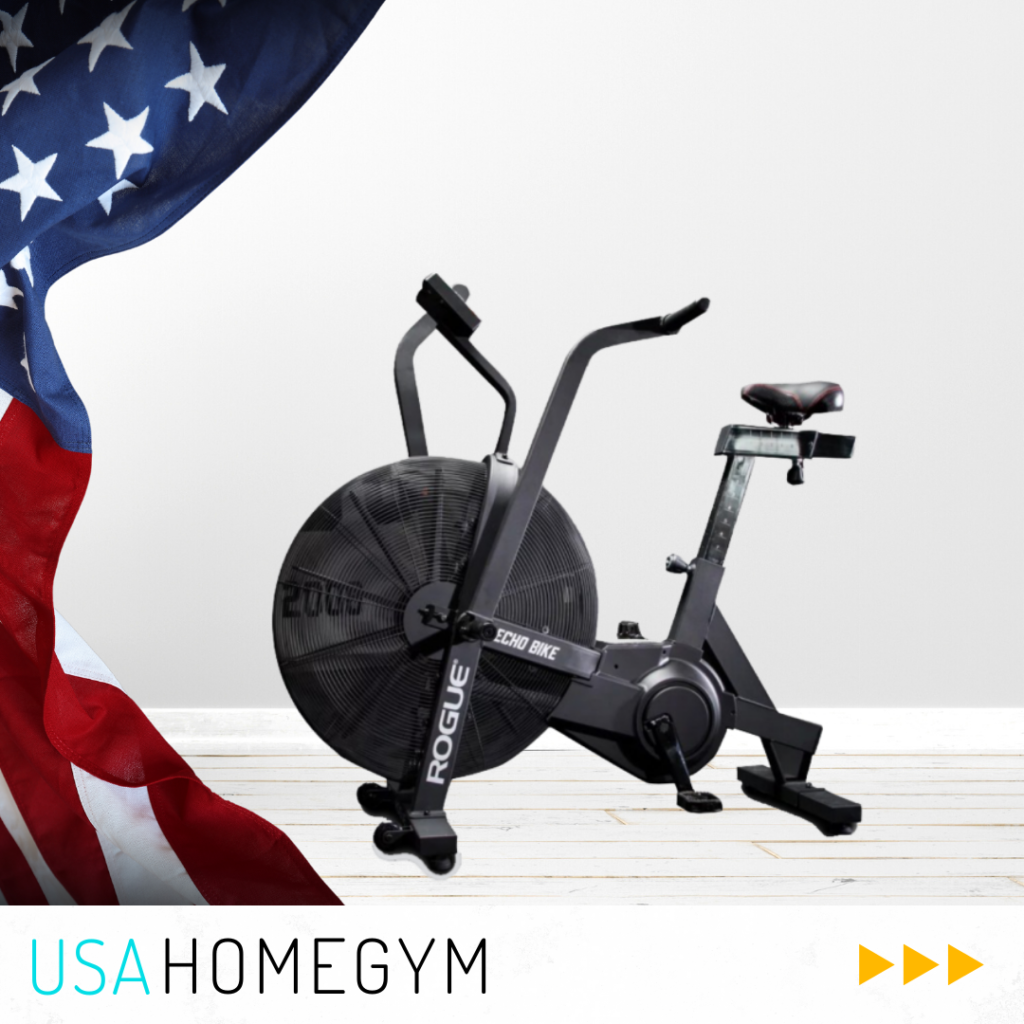 Rogue Echo Bike UHG