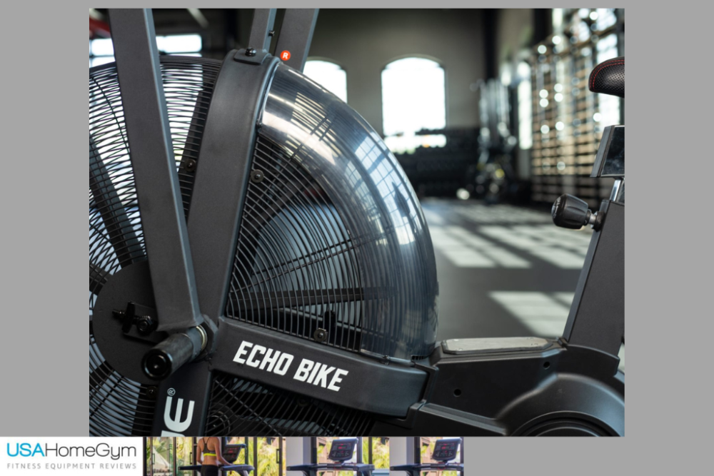 Rogue echo bike
