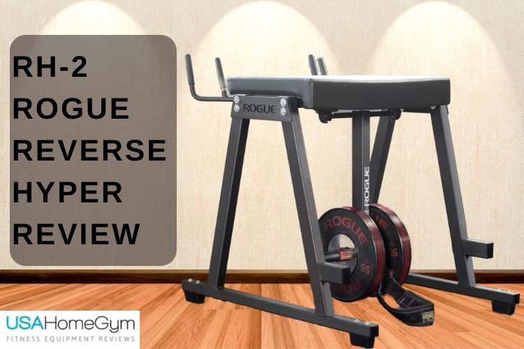 Rogue Reverse Hyper | Rogue Reverse Hyper Review | A Smart Investment?