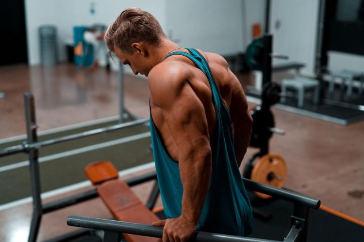 The Basics of Dip Bars