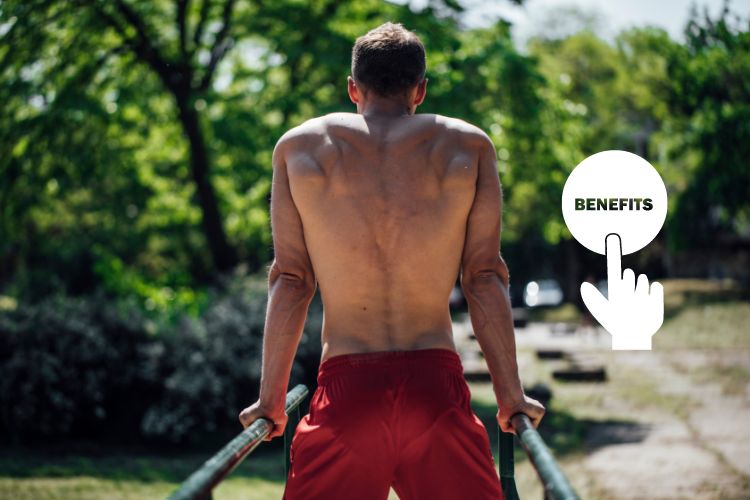 Benefits Of Using Dip Bars In Body Weight Exercises