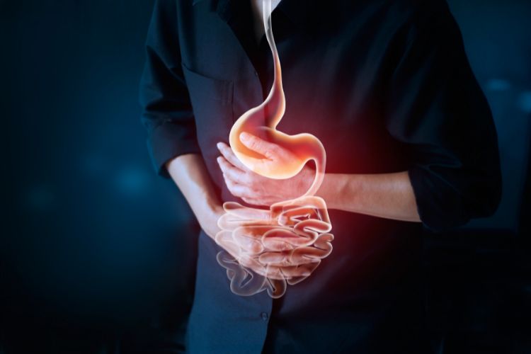 Gastrointestinal Health and Intestinal Integrity