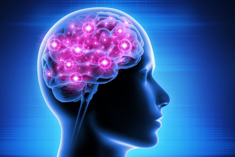 Brain Fuel and Cognitive Function