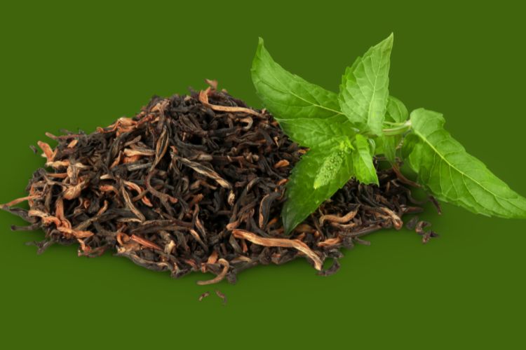 Green Tea Extract- Antioxidant Support