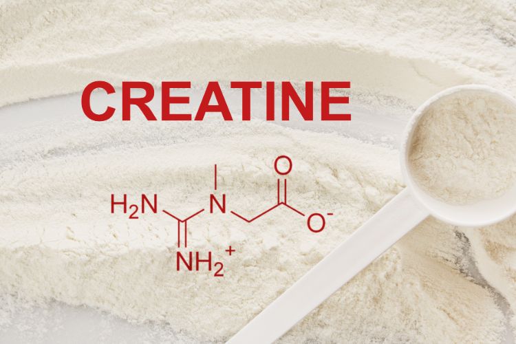 How Does Creatine Work?