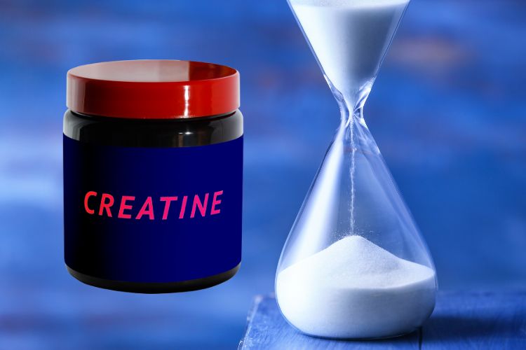 Shelf Life of a Creatine Supplement