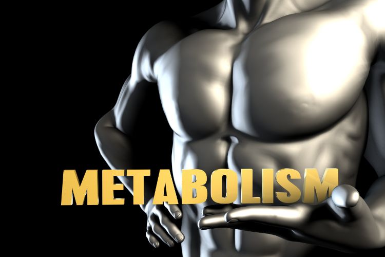 Fueling Metabolism, One Molecule at a Time