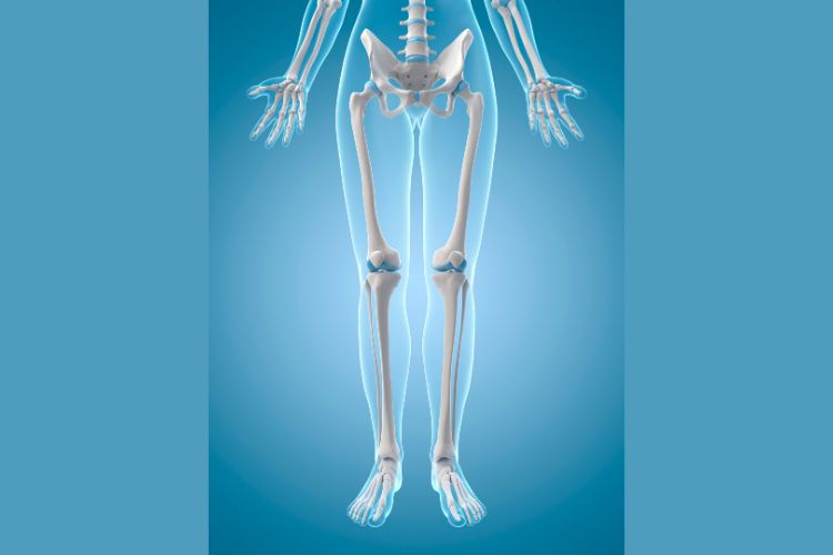 Enhanced Bone Health