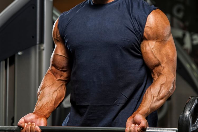 Improved Muscle Recovery