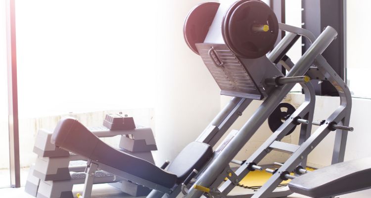 Leg Press Leg Press