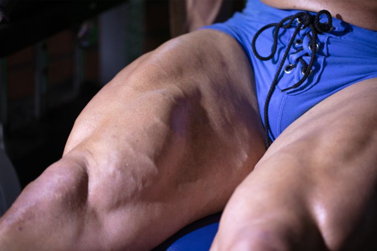 The Science of Leg Muscles: How to Get the Most Out of Leg Presses?