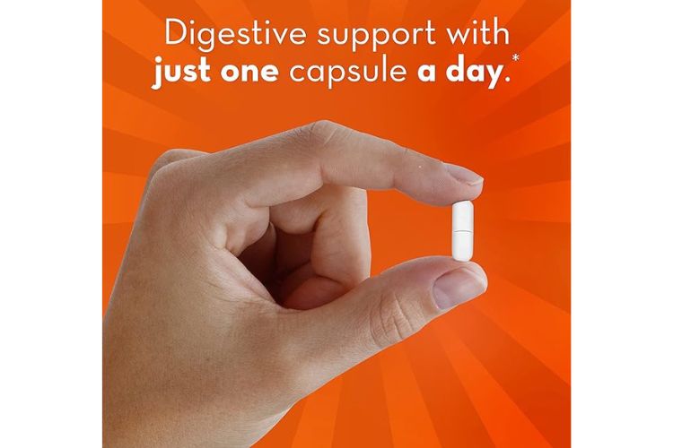 Best Time to Take Align Probiotic